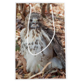 Dubblerad röd Tailed hök