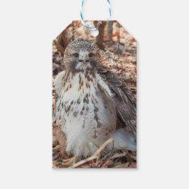 Dubblerad röd Tailed hök Presentetikett