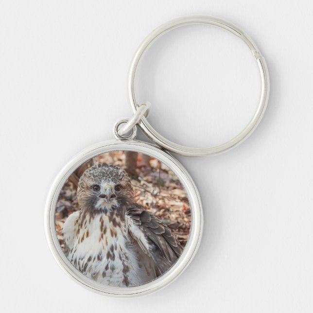 Dubblerad röd Tailed hök Rund Silverfärgad Nyckelring (Framsidan)