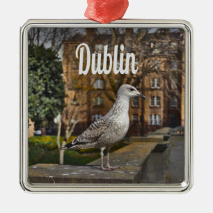 Dublin Ireland Bird on Brick Wall Julgransprydnad Metall