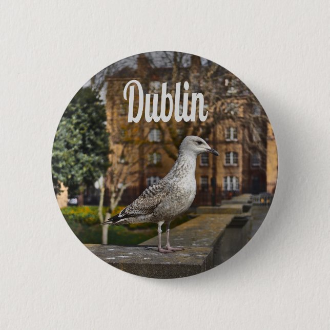 Dublin Ireland Bird on Brick Wall Knapp (Framsida)