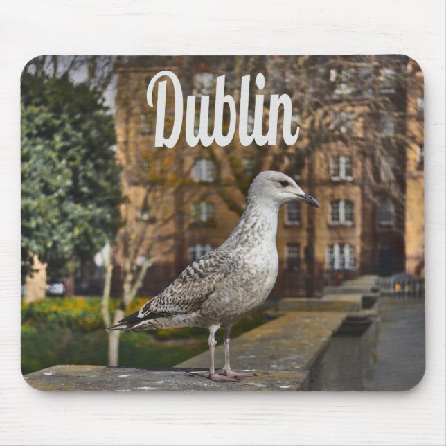 Dublin Ireland Bird on Brick Wall Musmatta (Framsidan)