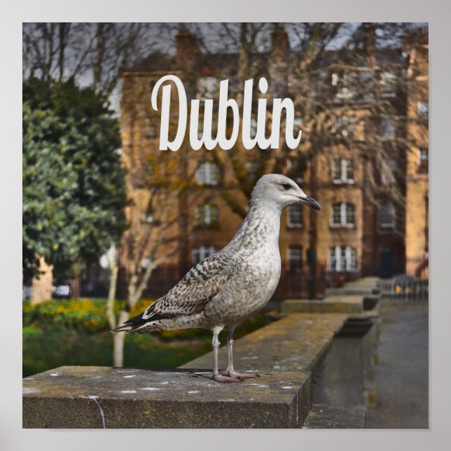 Dublin Ireland Bird on Brick Wall Poster (Framsidan)