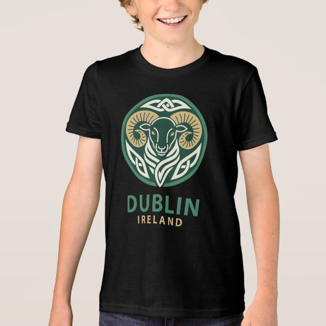 Dublin Ireland Europe T Shirt (Framsida)