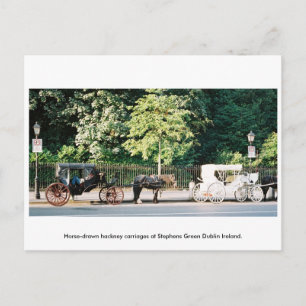Dublin Ireland, Stephens Grönt Horse Carries Vykort