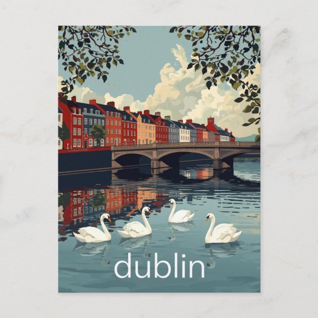 Dublin Irland Liffeyfloden Svanar Vykort (Framsida)