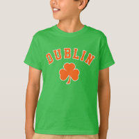 Dublin irländska
