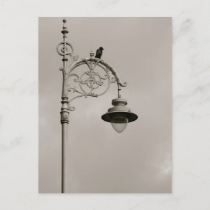 Dublin Lamp Vykort