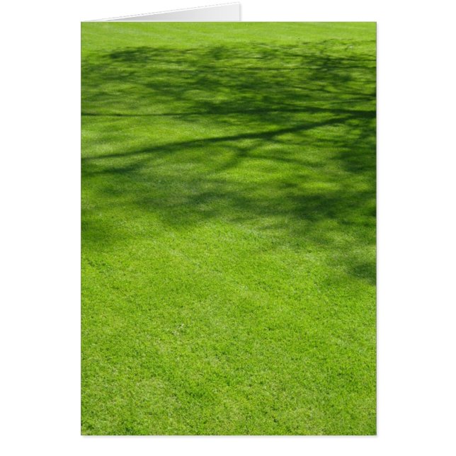 Dublin skuggar OBS kort (Framsidan)