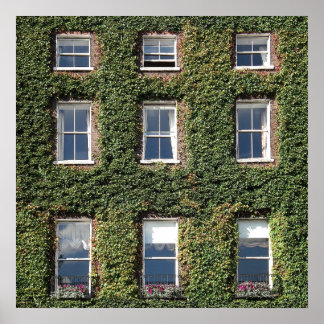 Dublin Town House Windows och Climate Ivy Poster