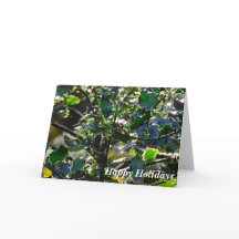 Dublinkort för Grönt Helgdag