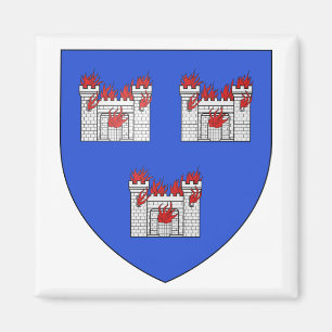 Dublins Jackande av Arm Magnet
