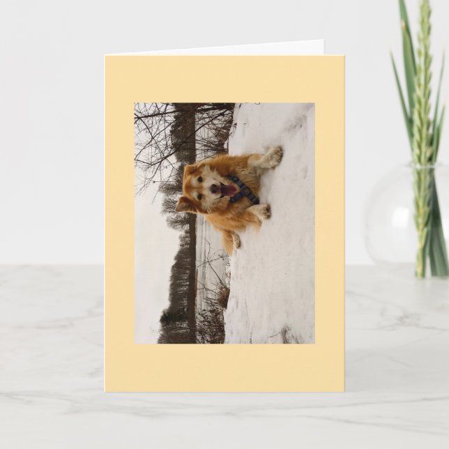 Ducati den  Hund Helgkort (Framsida)