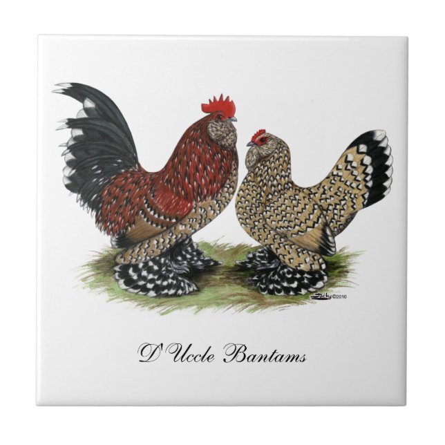 D'Uccle Bantams:  Mille Fleur Kakelplatta (Framsidan)