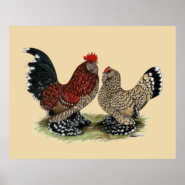 D'Uccle Bantams: Mille Fleur Poster (Framsidan)