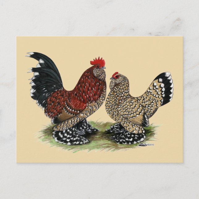 D'Uccle Bantams: Mille Fleur Vykort (Framsida)