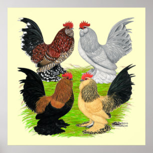 D'Uccles fyra tuppar Poster