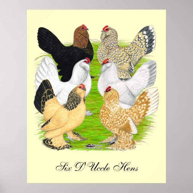 D'Uccles Sex Hens Poster (Framsidan)