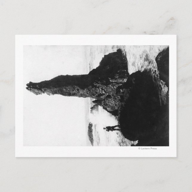 Duchess Sten i Newport, Oregon Vykort (Framsida)