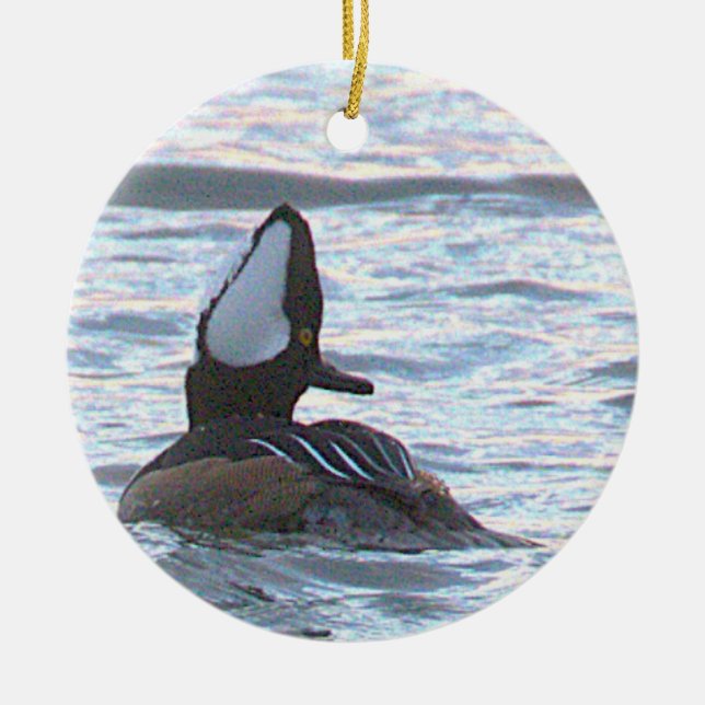 Duck Photo Ornament (Framsidan)