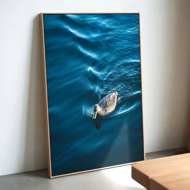 Duck Swimming Poster (Skapare uppladdad)