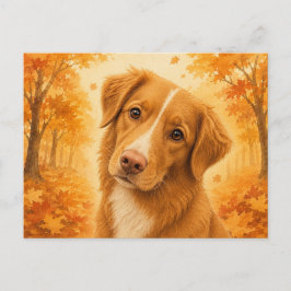 Duck Tolling Retriever Höst Hund Vykort