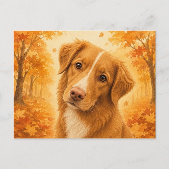 Duck Tolling Retriever Höst Hund Vykort (Framsida)