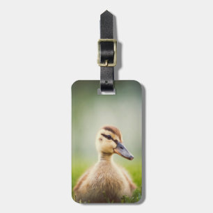 Ducka för babygräsand bagagebricka