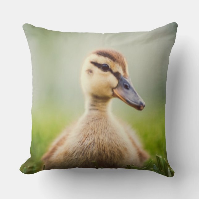 Ducka för babygräsand kudde (Framsida)