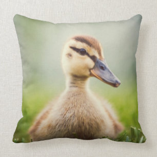 Ducka för babygräsand kudde