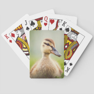 Ducka för babygräsand spel kort