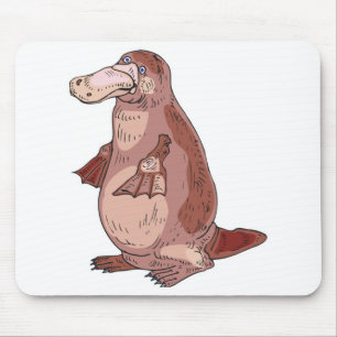 duckbill platypus musmatta