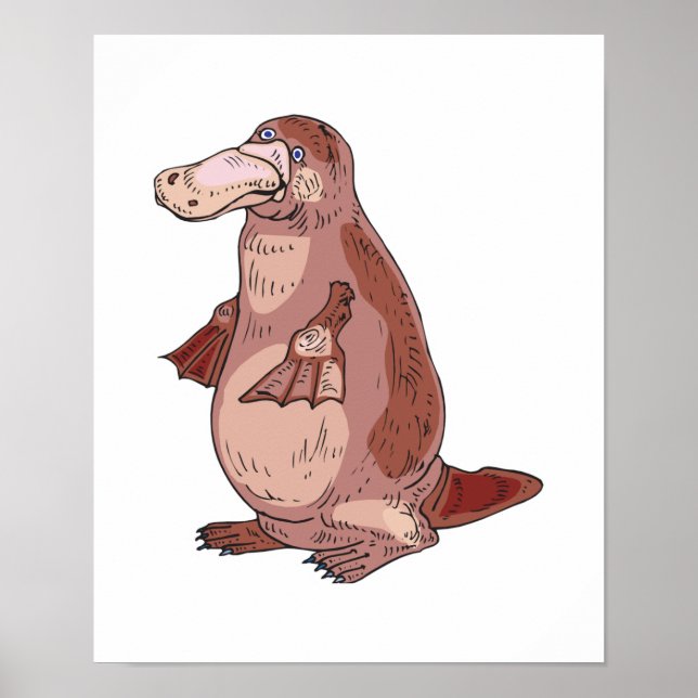 duckbill platypus poster (Framsidan)