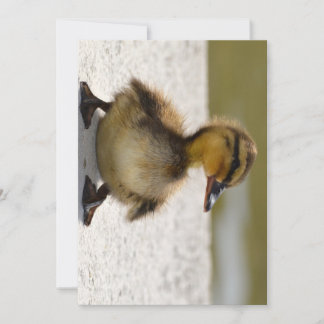 Duckeringskort
