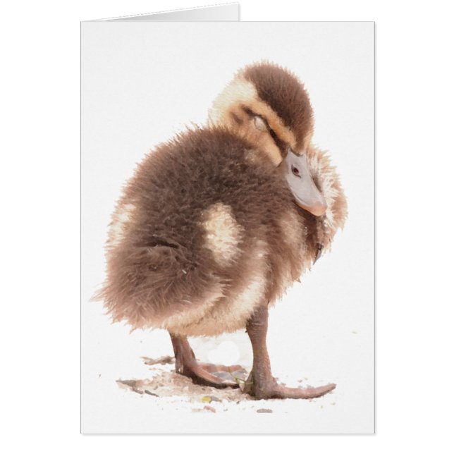 Duckeringskort Hälsningskort (Framsidan)