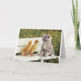 Duckheap och kompis intervjukattunge. kort