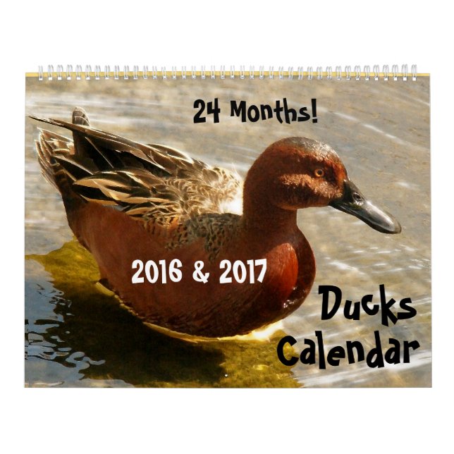 Duckling 2016 för djur för ankafågeldjurliv 2017 kalender (Omslag)