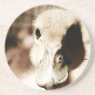 Duckling Digital Art Underlägg Sandsten