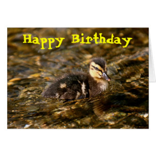 Duckling Hälsningskort