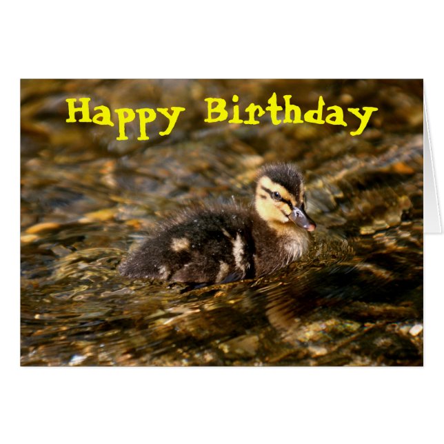 Duckling Hälsningskort (Framsidan Horizontal)