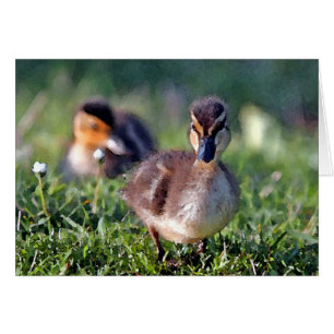 Duckling Hälsningskort