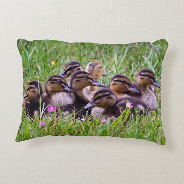 Duckling Huddle Pillow Prydnadskudde (Baksidan)