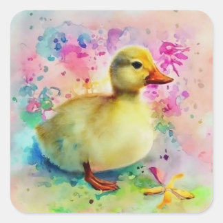 Duckling i vattenfärg fyrkantigt klistermärke