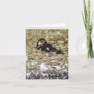 Duckling in River Nature Sympathy Card Kort