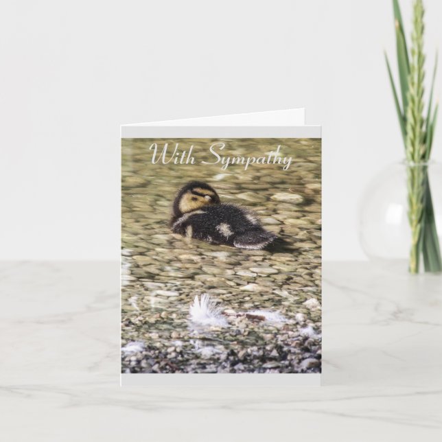 Duckling in River Nature Sympathy Card Kort (Framsida)
