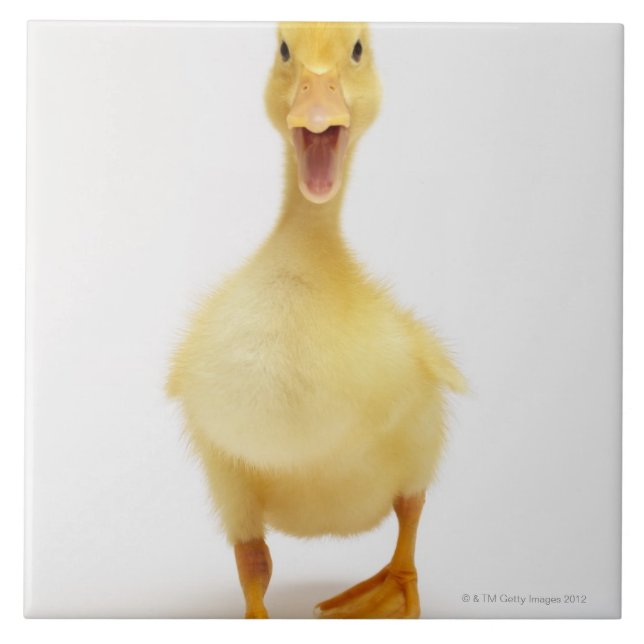 Duckling Kakelplatta (Framsidan)