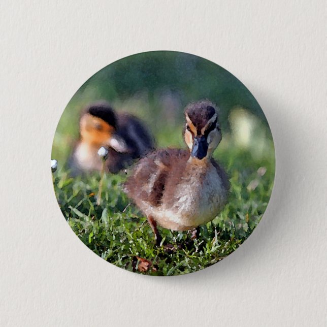 Duckling Knapp (Framsida)