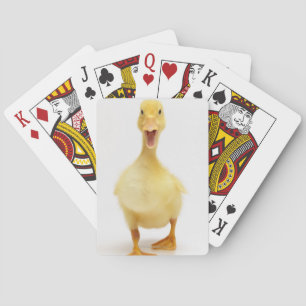 Duckling Kortlek