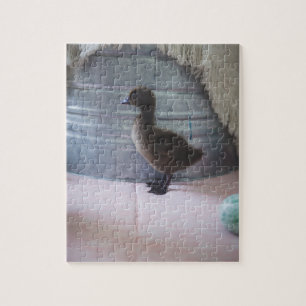 Duckling, Mörk Brown Baby Anka Pussel