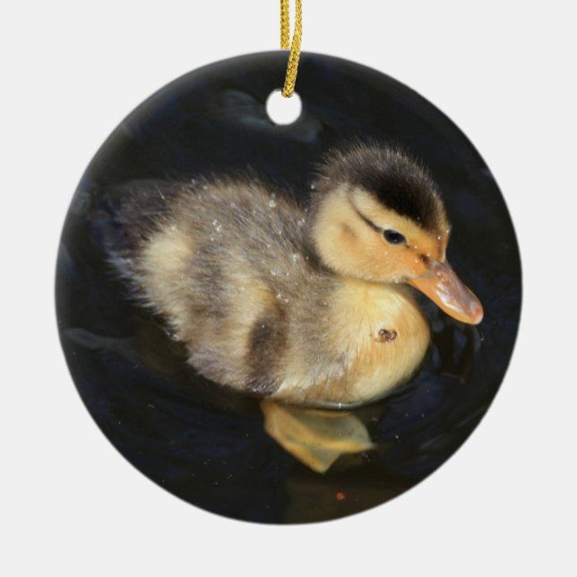 Duckling Ornament (Framsidan)